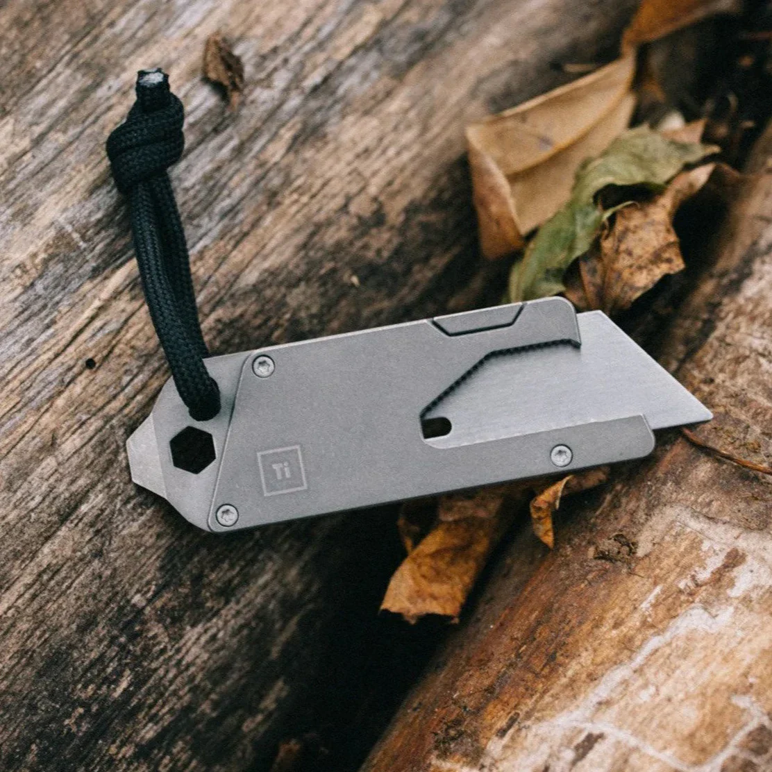Miniatyr 1